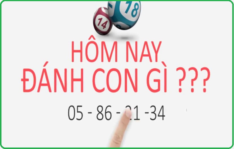 lo-de-hom-nay-danh-con-gi-1