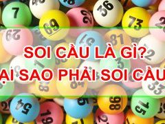 soi cau la gi ? tim hieu ve soi cau va cach soi cau hinh anh 1